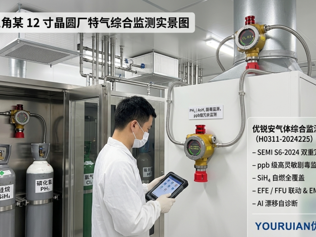 长三角某 12 寸晶圆厂特气供应间气体监测建设