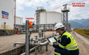 西南某 LNG 接收站储罐区可燃气体监测升级